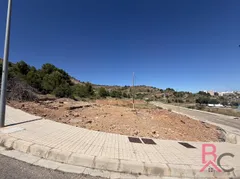 Foto 3 de 6